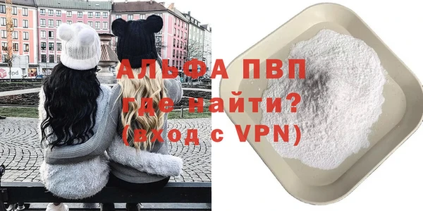 прущие грибы Инта