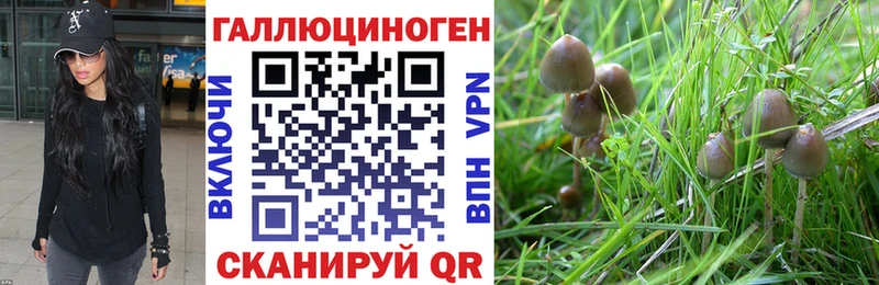 Псилоцибиновые грибы Magic Shrooms  Нижнекамск 