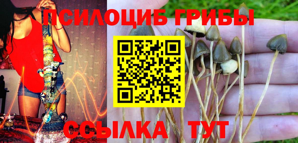 Codein  Канабис  ГАШИШ  Меф МЯУ МЯУ   ГАШ  Вход с VPN  MDMA  Нижнекамск  Меф МЯУ МЯУ  Марихуана  ЭКСТАЗИ 